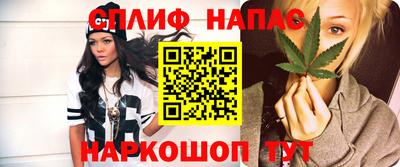 прущие грибы Берёзовский