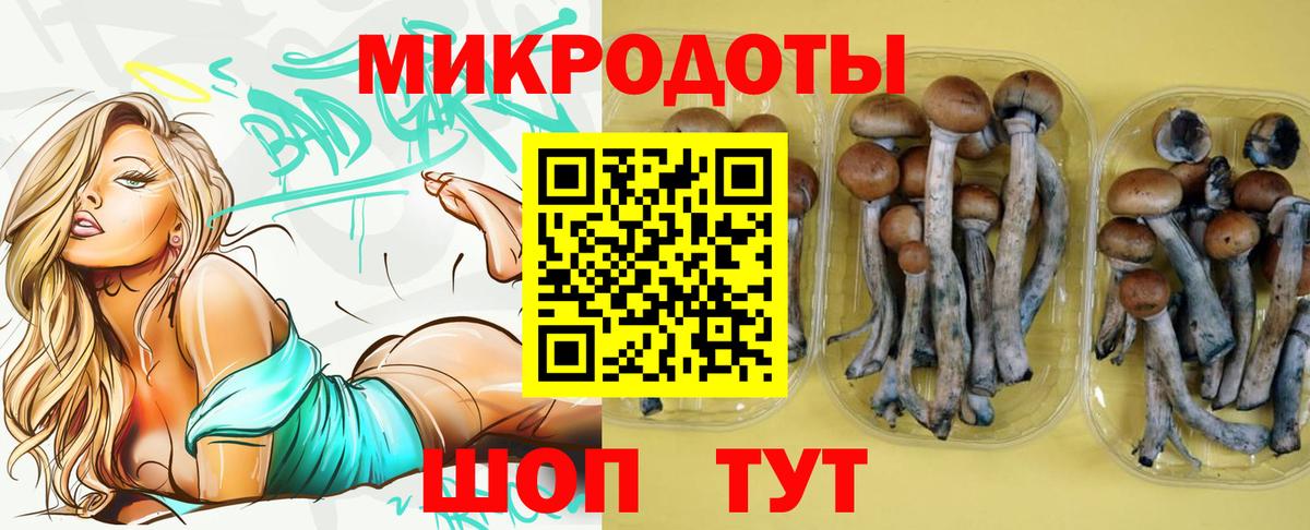 Галлюциногенные грибы прущие грибы  Вход с VPN  Камышин 
